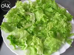 салат Зеленый со сметаной и горчицей